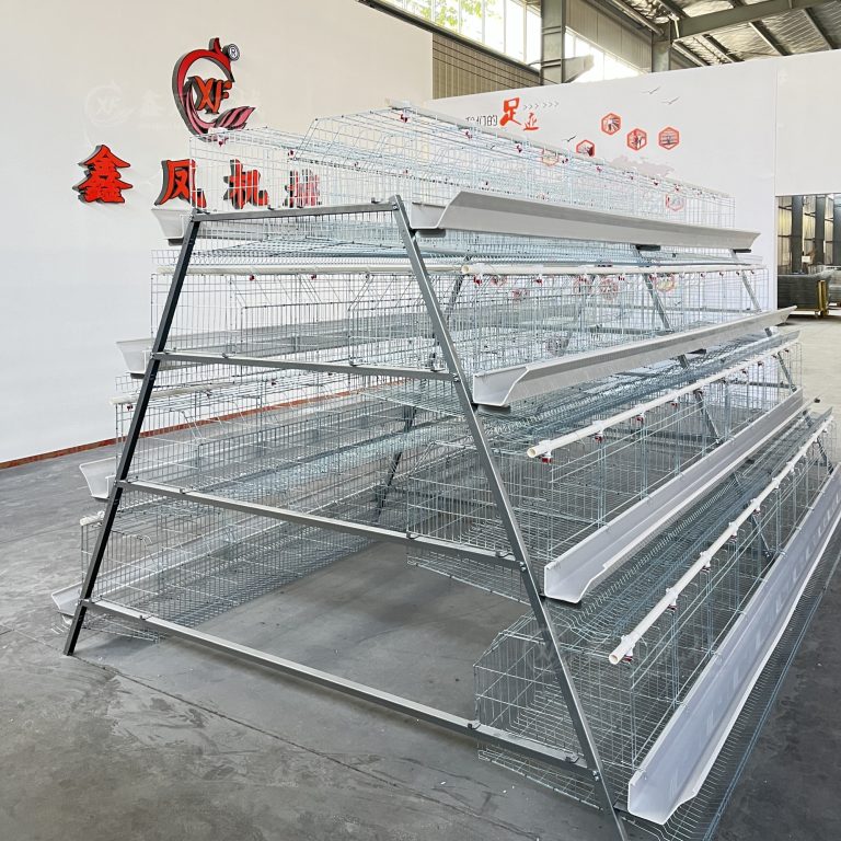 Introduction to Type A cages-Henan Xinfeng Machinery Equipment Co., Ltd