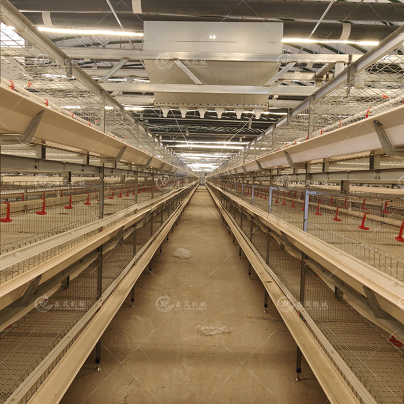 H-type broiler cage