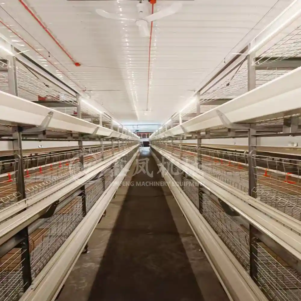 H-type broiler cage introduction