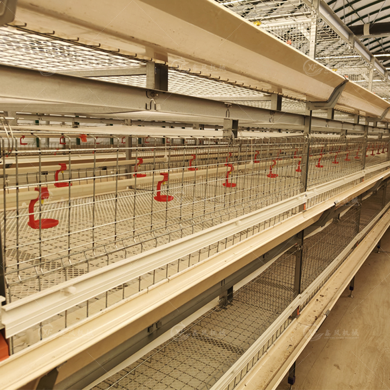 H-type broiler cage details
