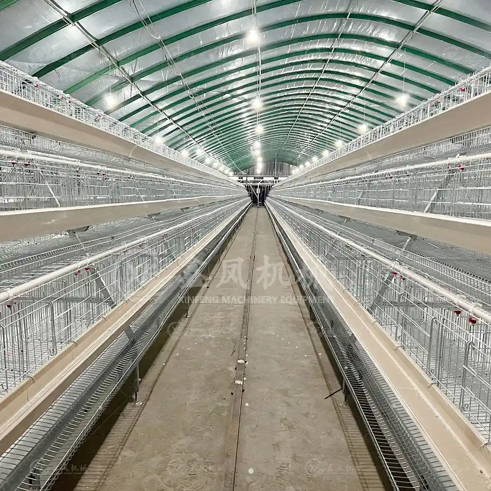 Complete planning scheme for a 5000-layer hen farm